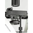 Microscop inversat KERN OCM, 