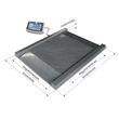 Cântar digital platforma cu rampa KERN, model NFB, 