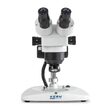 Stereo microscop cu zoom KERN OZL, 
